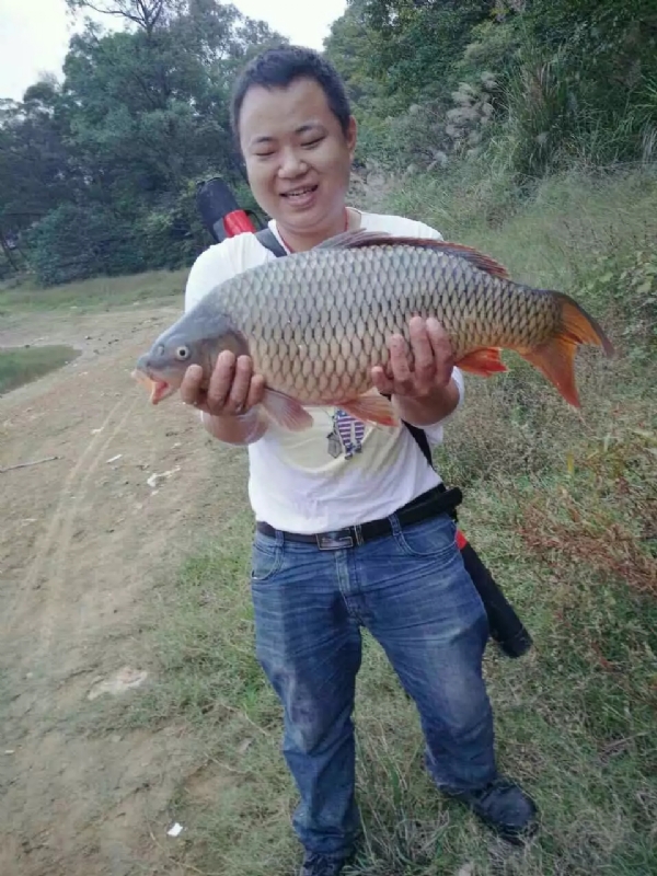迷路的男人的第一张照片--马尾相亲网